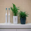 Why Your Philips Sonicare Isn't Charging and How to Fix It