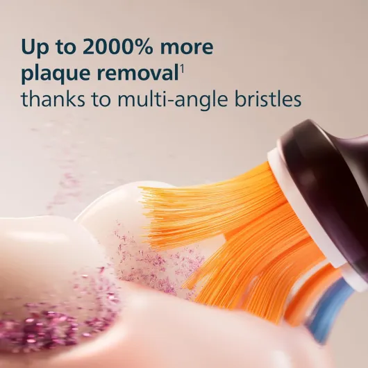 71YE s76eSL._AC_SL1500_