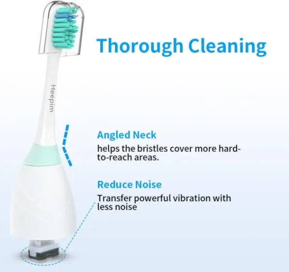 51dWUmqAgjL._AC_SL1000_