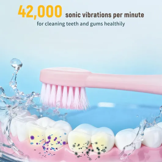 71teW5CR6eL._AC_SL1500_