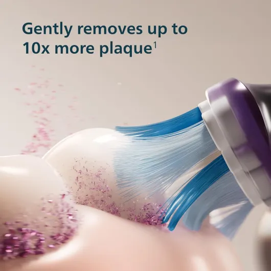 71Y7ZqMAvnL._AC_SL1500_