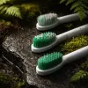 What Happens to Your Brush Heads After Three Months and Why Waiting Longer Costs You